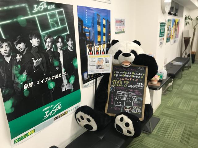 株式会社エイブル渋谷店スタッフコストコのパンダの画像